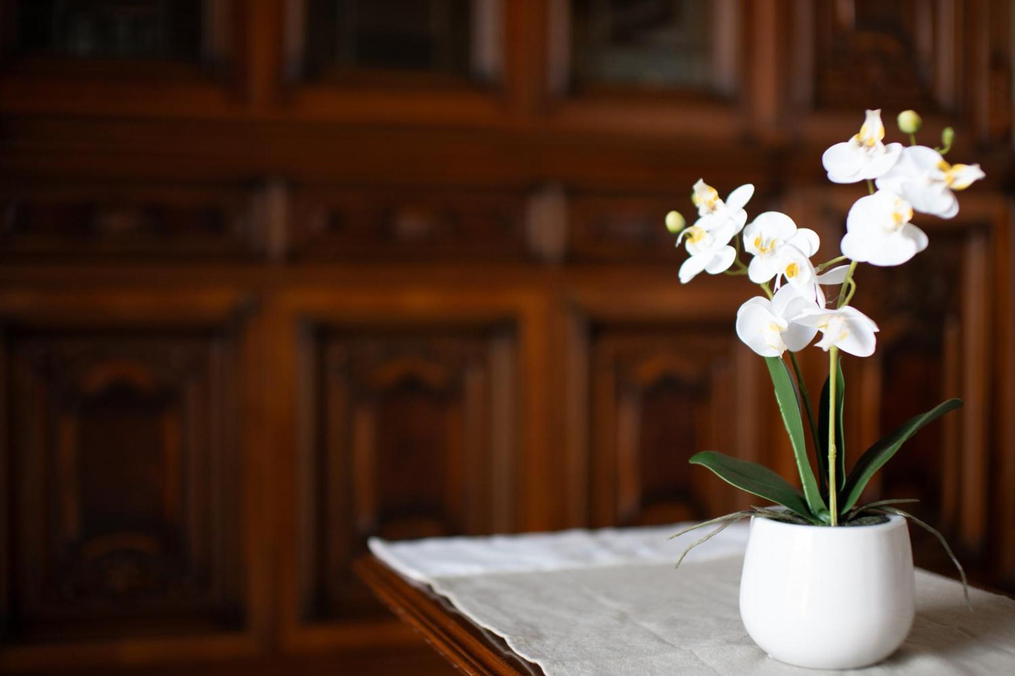 Domus Umberto - Guest House Arezzo Bagian luar foto